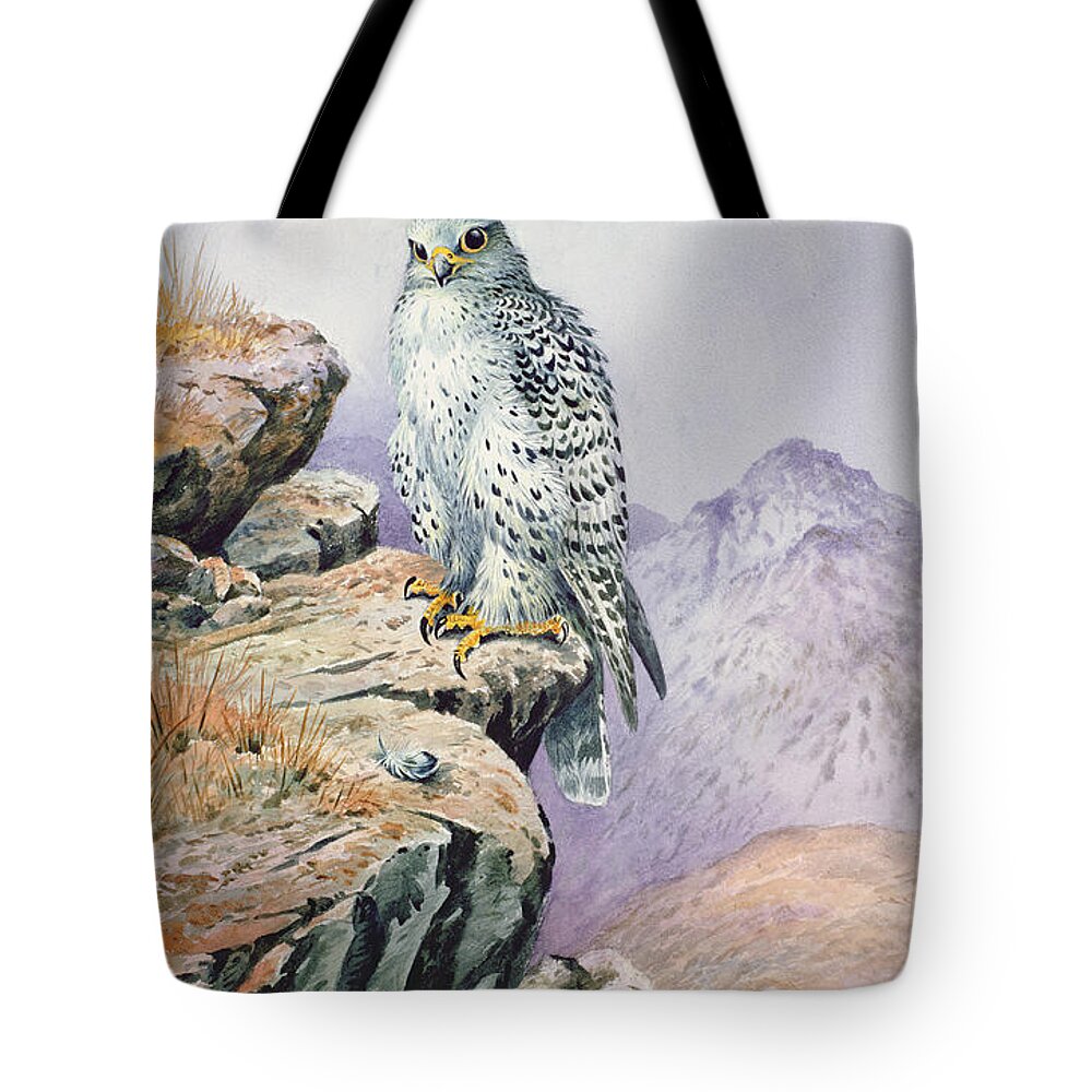 Bird Of Prey Tote Bag featuring the painting Gyrfalcon by Carl Donner