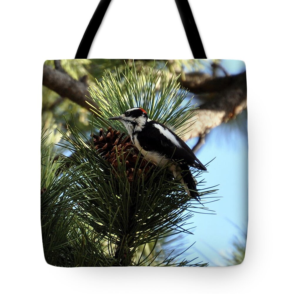 Woodpecker Tote Bag featuring the photograph Hairy Woodpecker on Pine Cone by Dorrene BrownButterfield