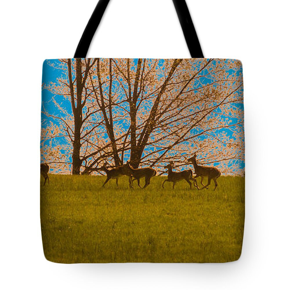Deer Tote Bag featuring the photograph Has Anyone Seen Rudolph by Trish Tritz