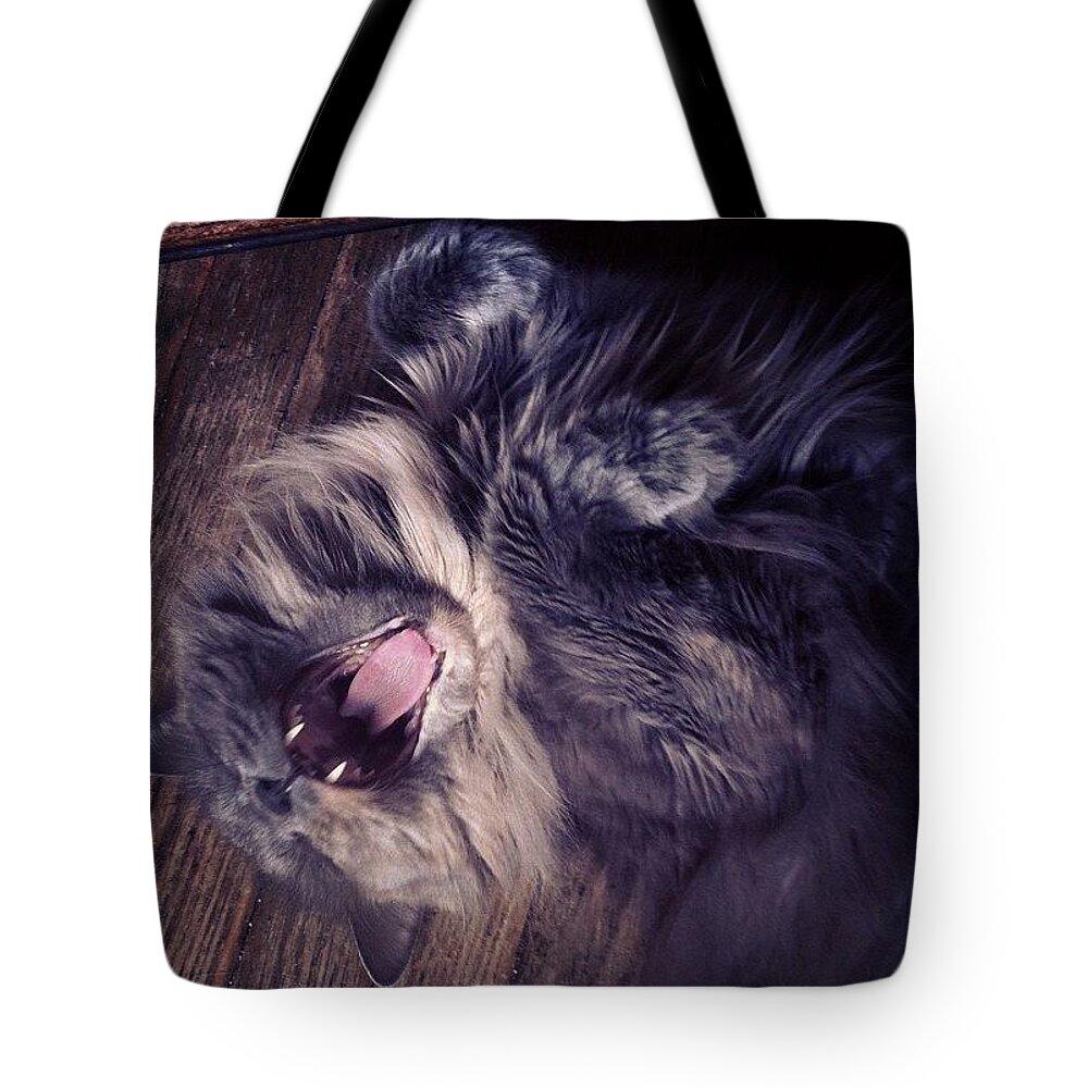 Fangs Tote Bag featuring the photograph Has #fangs. Not Afraid To Use 'em by Katie Cupcakes