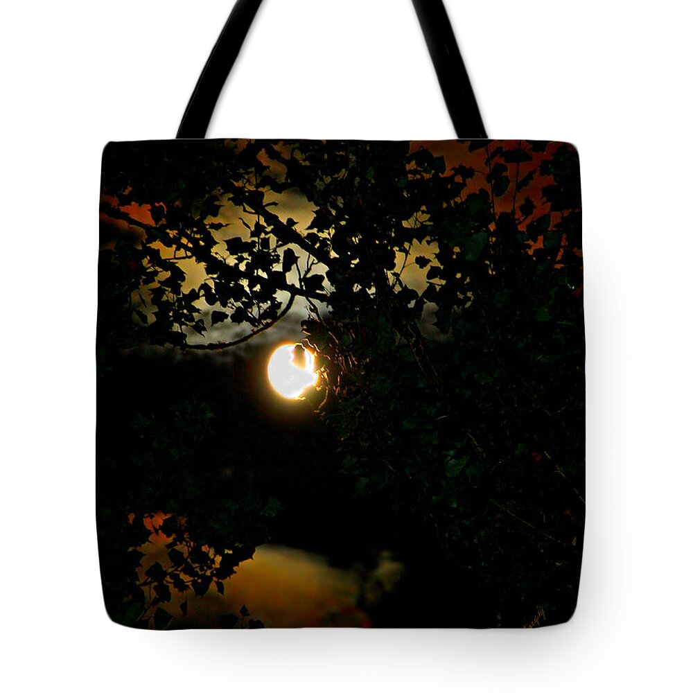 Moon Tote Bag featuring the photograph Haunting Moon III by Jeanette C Landstrom