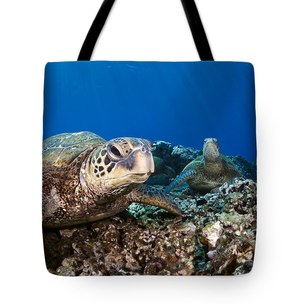 Amazing Tote Bag featuring the photograph Hawaiian Turtle on Pacific Reef by Dave Fleetham