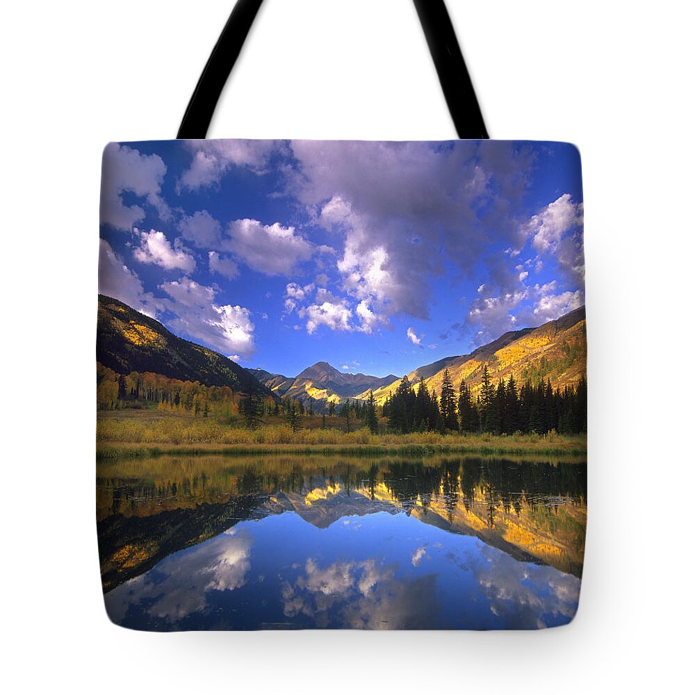 00175814 Tote Bag featuring the photograph Haystack Mountain Reflected In Beaver by Tim Fitzharris