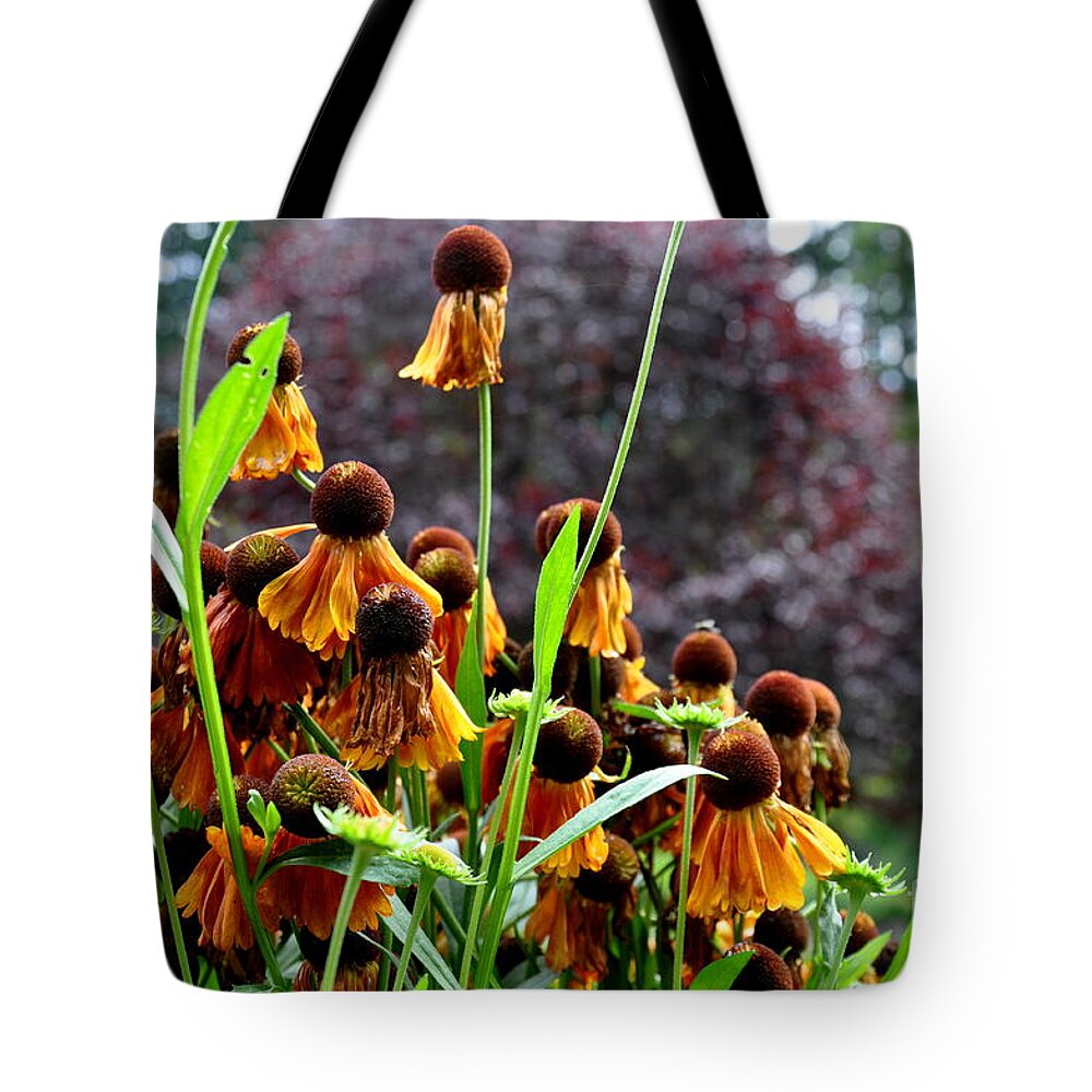  Butchart Gardens Tote Bag featuring the photograph Helenium Sneezeweed by Tatyana Searcy