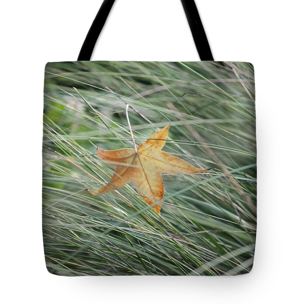 Nature Tote Bag featuring the photograph Hello by Amy Gallagher