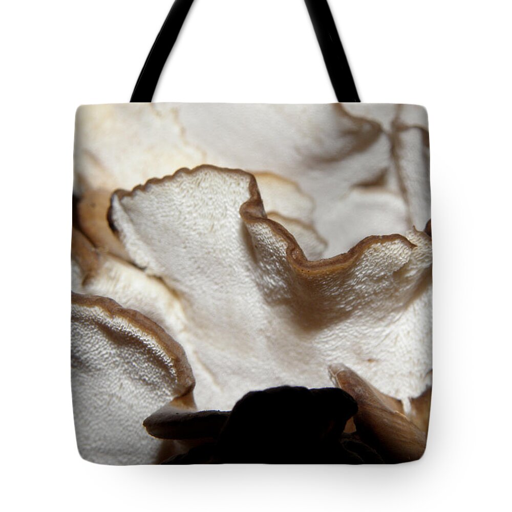 Mushrooms Tote Bag featuring the photograph Hens of the Woods Mushrooms by Kim Galluzzo