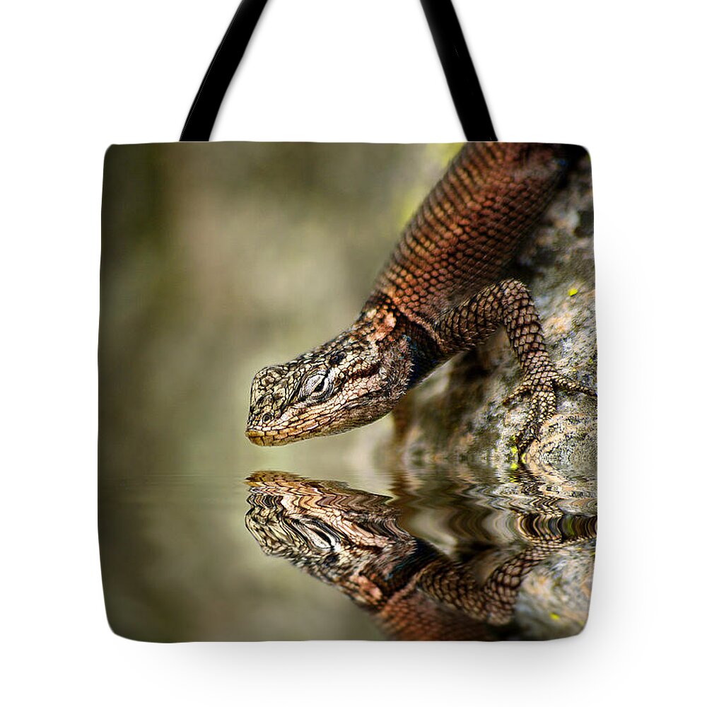 Photography Tote Bag featuring the photograph Here's Lookin' at You by Vicki Pelham