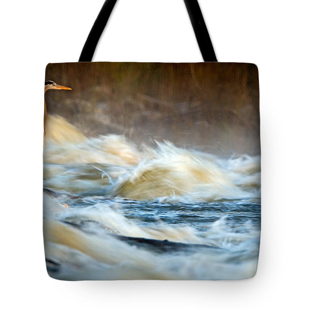 2007 Tote Bag featuring the photograph Heron in Centaur Shute by Robert Charity