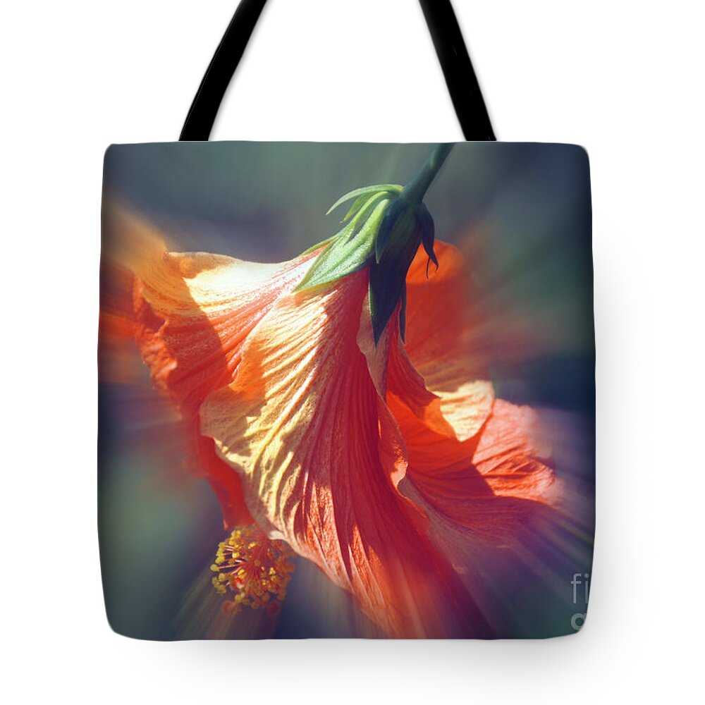 Flower Tote Bag featuring the photograph Hibiscus Fan by Elaine Manley
