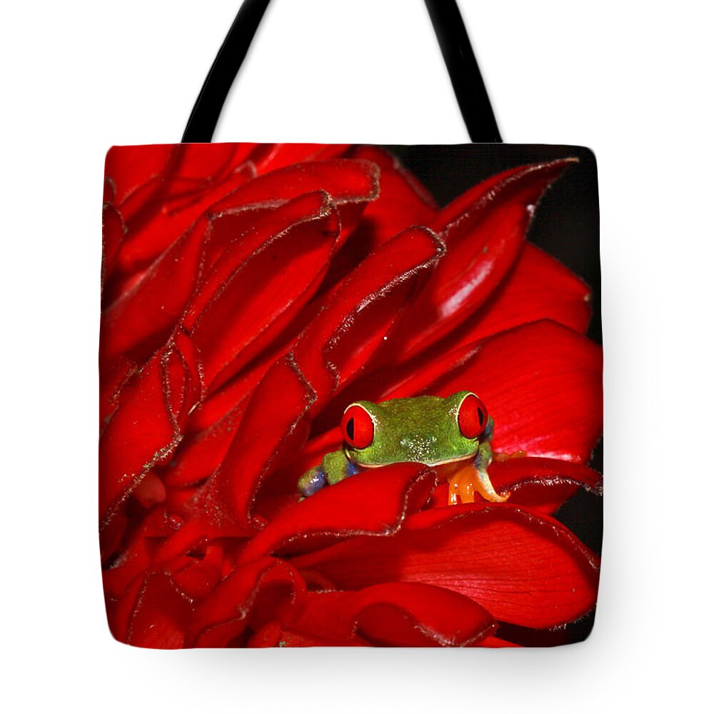 Frog Tote Bag featuring the photograph Hiding by Tom and Pat Cory