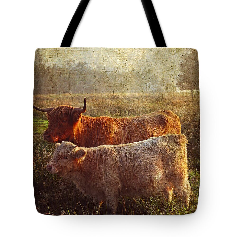 Scotland Tote Bag featuring the photograph Highlanders. Scottish Countryside by Jenny Rainbow