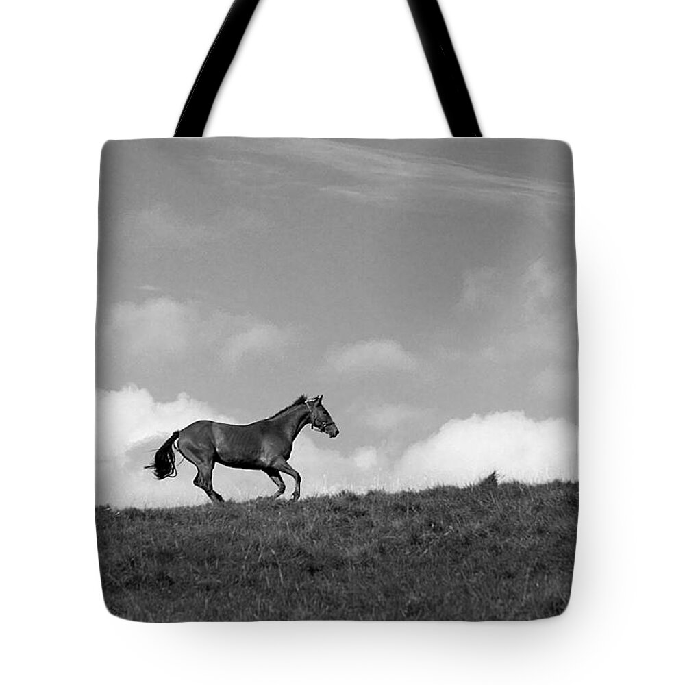Landscape Tote Bag featuring the photograph Hilltop Gallop by Jean Macaluso
