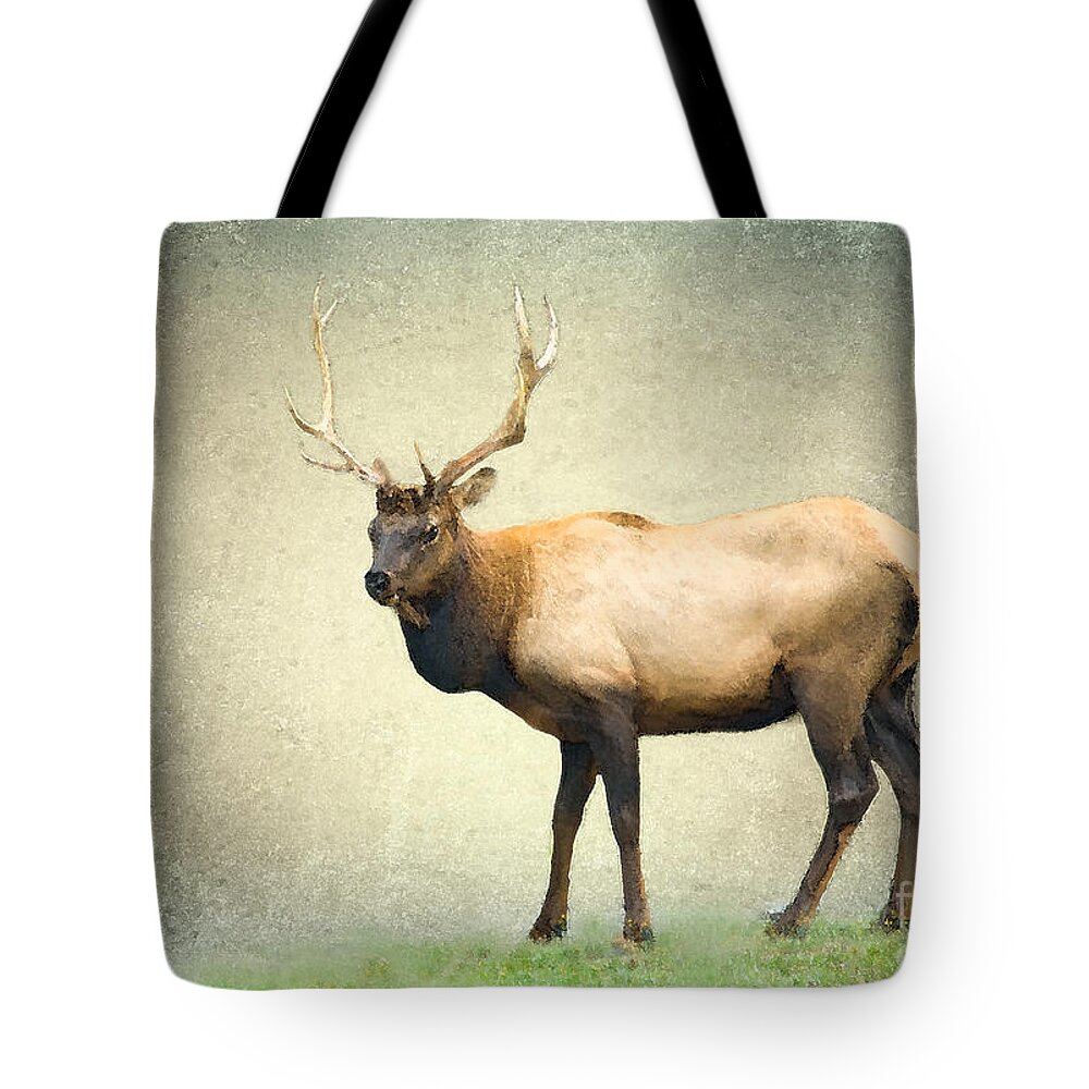 Elk Tote Bag featuring the photograph His Majesty by Betty LaRue