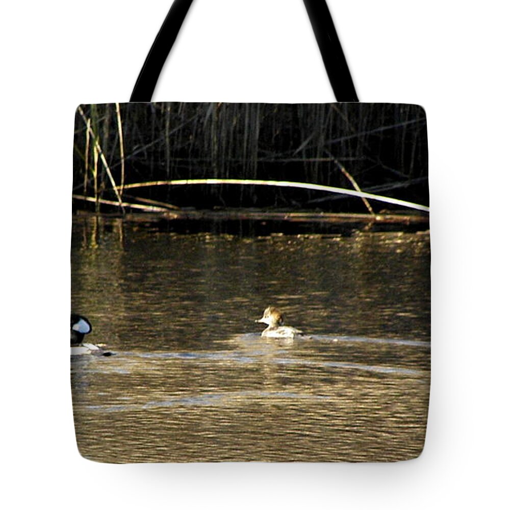 Hooded Tote Bag featuring the photograph Hooded Mergansers by Kim Galluzzo Wozniak