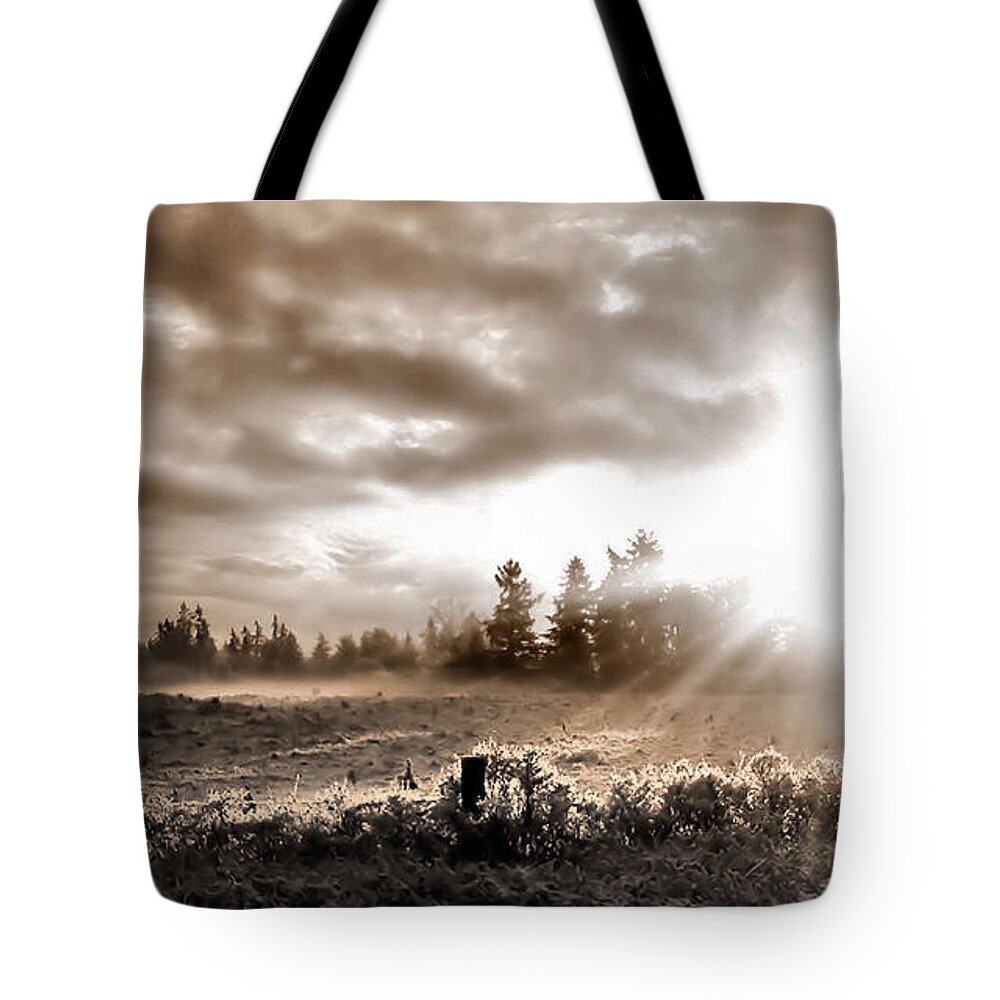 Landscape Tote Bag featuring the photograph Hope II by Rory Siegel