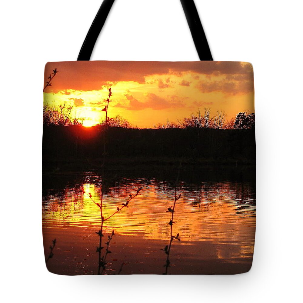 Horn Pond Tote Bag featuring the photograph Horn Pond Sunset 8 by Jeff Heimlich