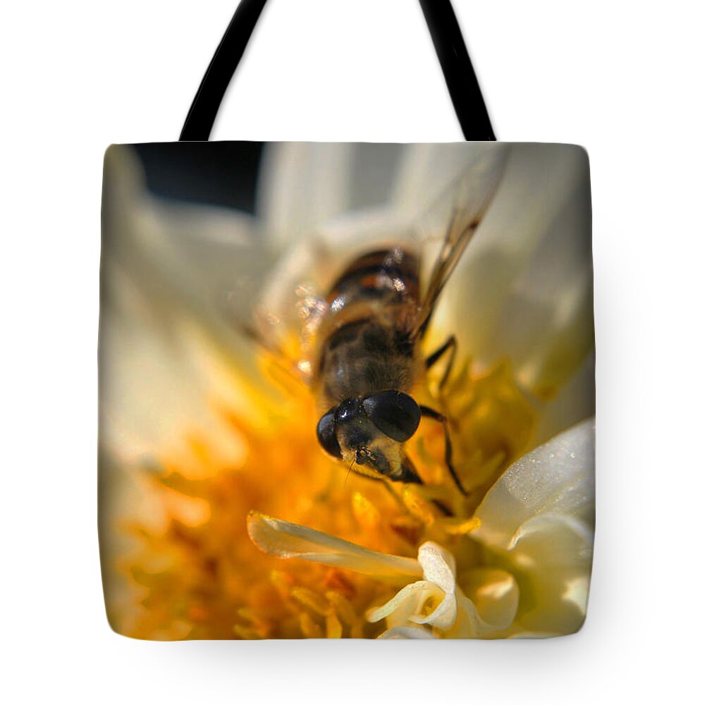 Yhun Suarez Tote Bag featuring the photograph Hoverfly On White Flower by Yhun Suarez