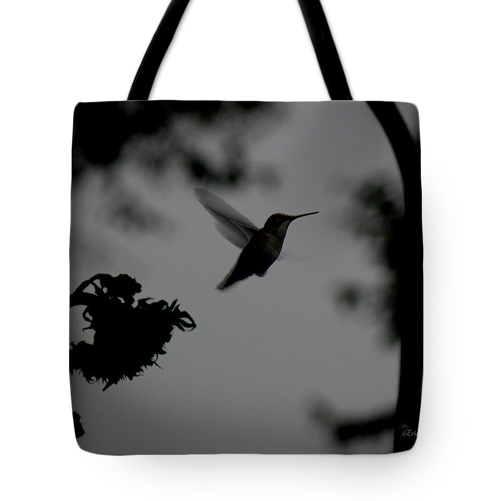 Hummingbird Tote Bag featuring the photograph Hummer In The Shadows by Ericamaxine Price