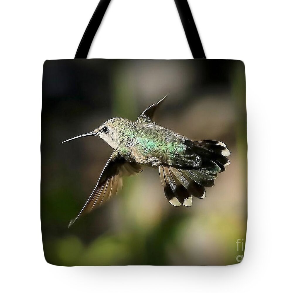 Hummingbird Tote Bag featuring the photograph Hummingbird Fly By by Carol Groenen