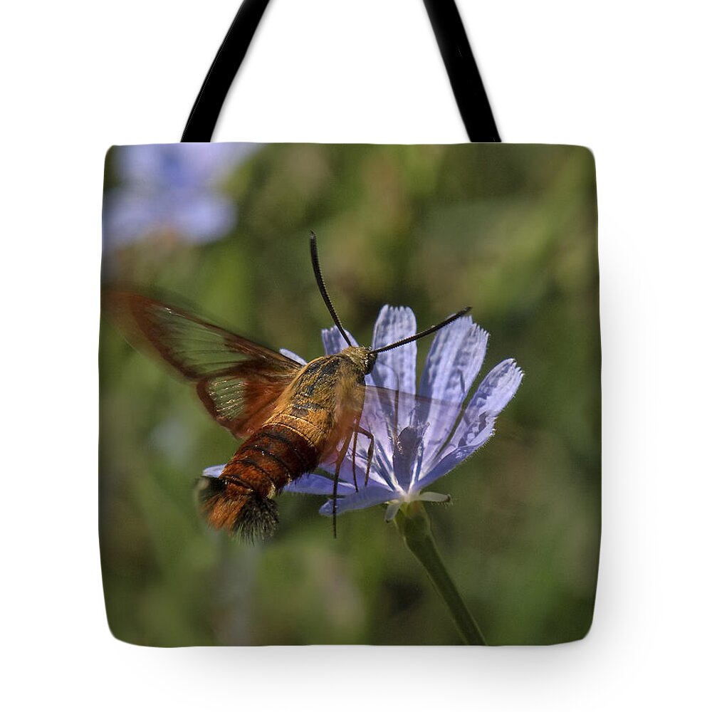 Nature Tote Bag featuring the photograph Hummingbird or Clearwing Moth DIN137 by Gerry Gantt