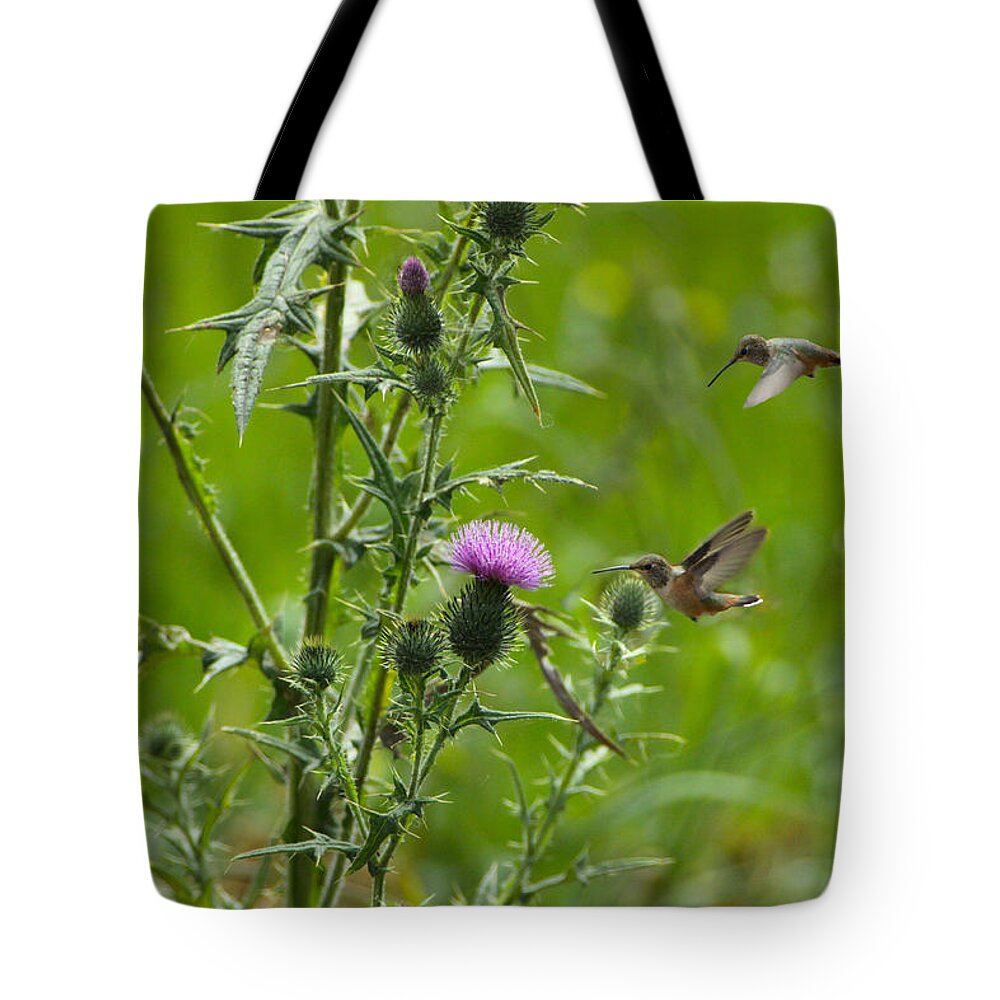 Hummingbirds Tote Bag featuring the photograph Hummingbirds and Thistle by Diana Haronis