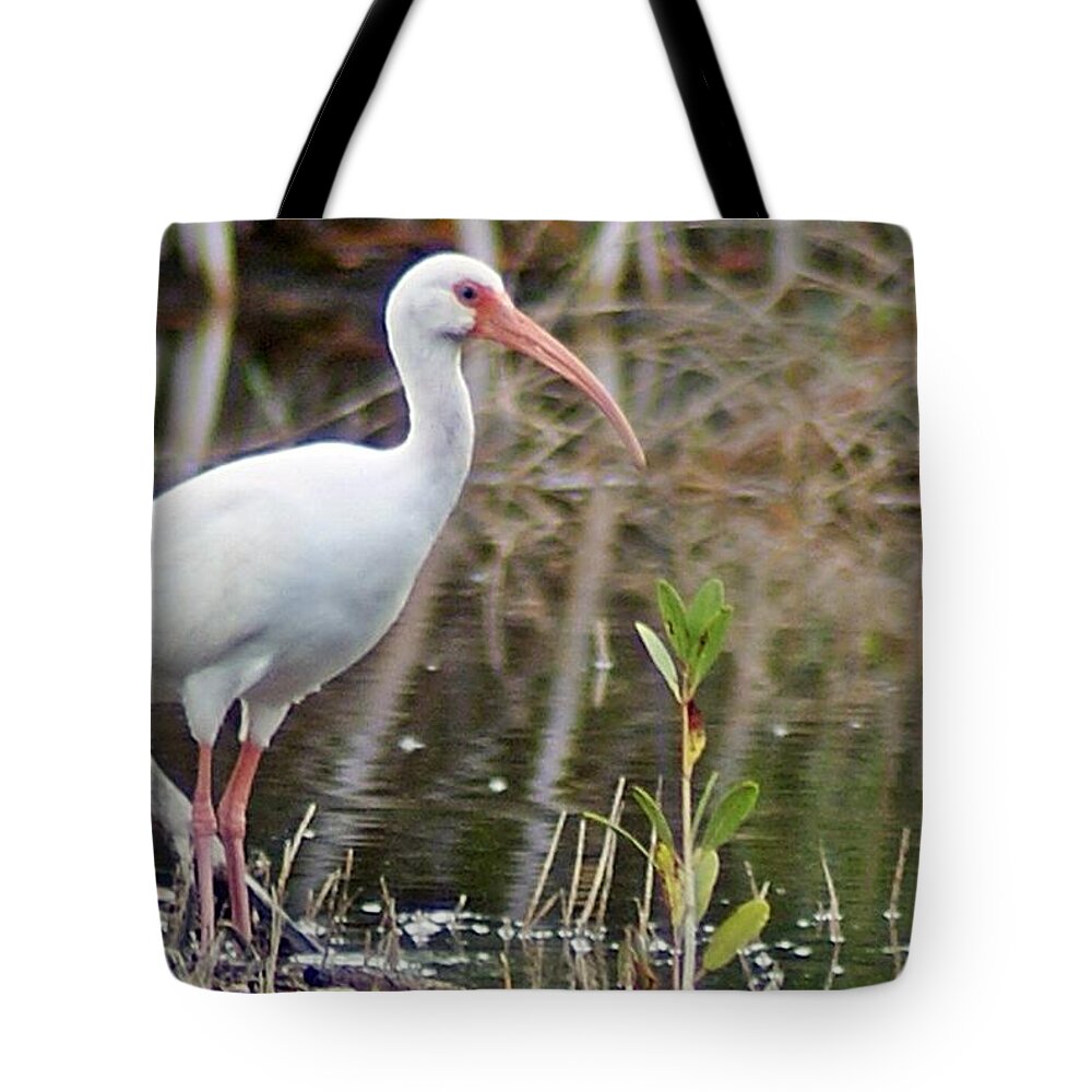 Ibis Tote Bag featuring the photograph Ibis 1 by Joe Faherty