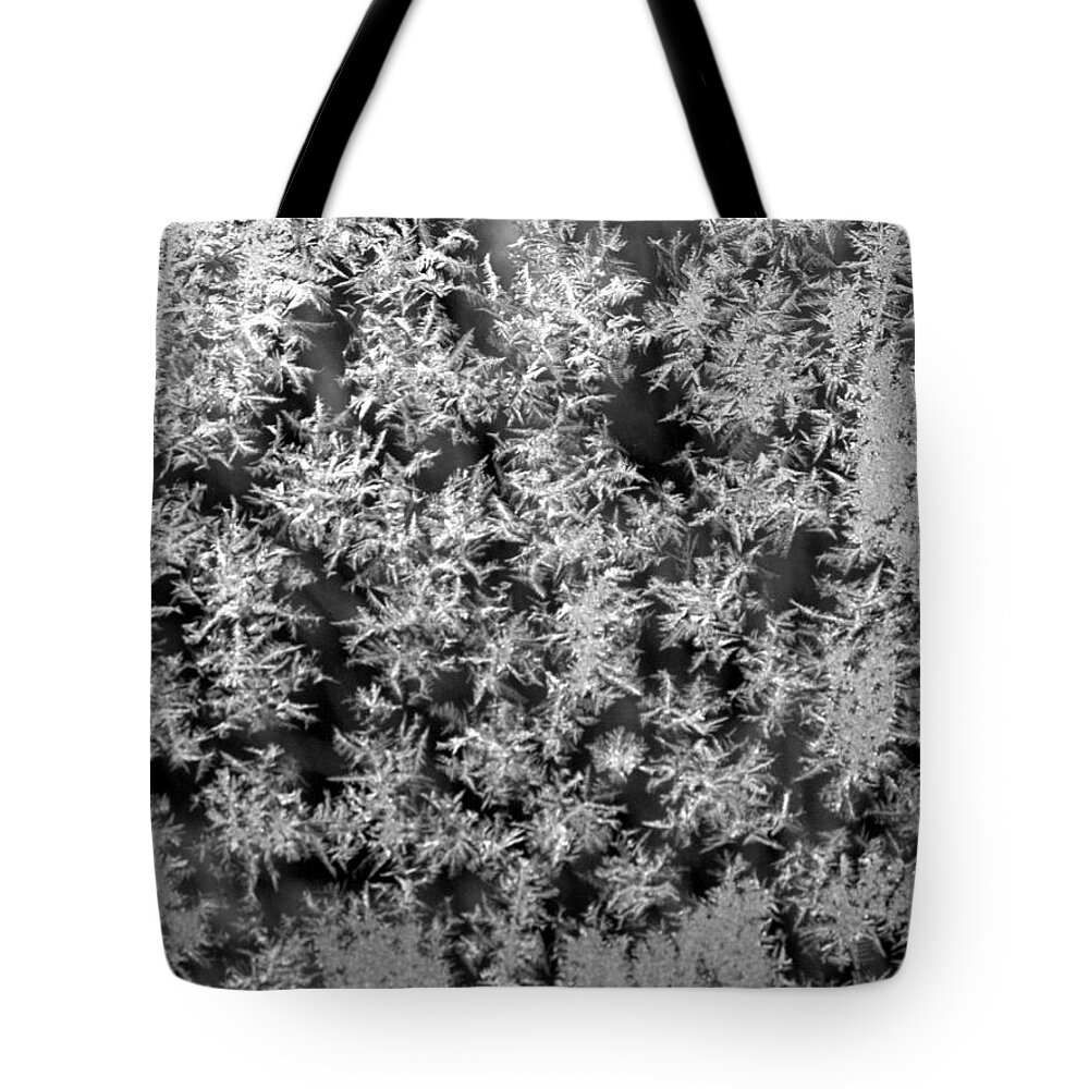 Ice Tote Bag featuring the photograph Ice Beauties by Kim Galluzzo