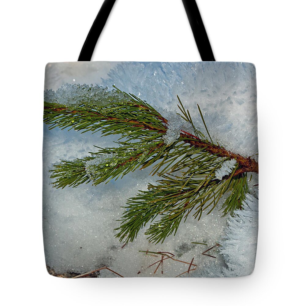Snow Tote Bag featuring the photograph Ice Crystals and Pine Needles by Tikvah's Hope
