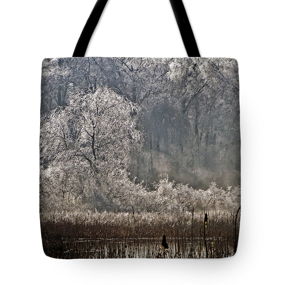 Ice Tote Bag featuring the photograph Ice Storm 2008 by Frank Winters
