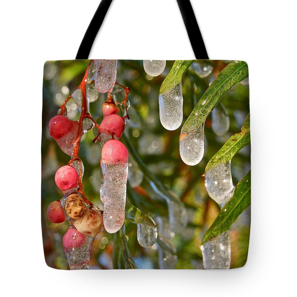 Tree Tote Bag featuring the photograph Icy Pepper Tree by Diana Hatcher