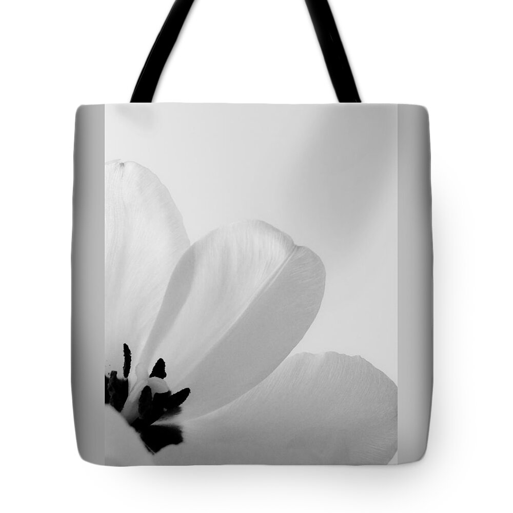 Tulip Tote Bag featuring the photograph Idem by Julia Wilcox