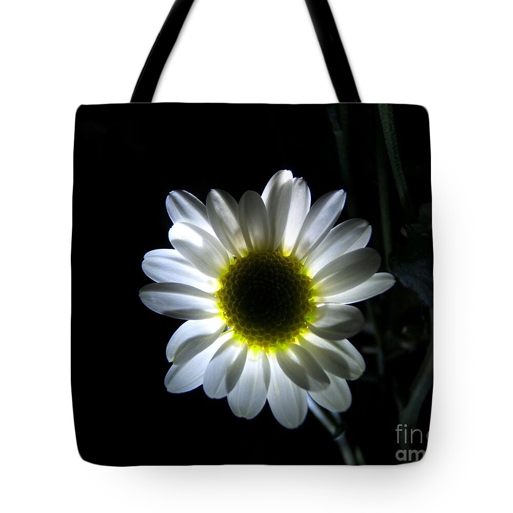 Artoffoxvox Tote Bag featuring the photograph Illuminated Daisy Photograph by Kristen Fox