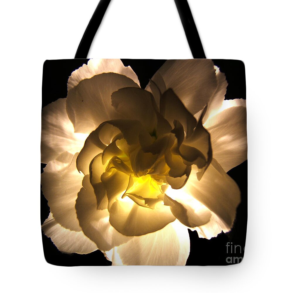 Artoffoxvox Tote Bag featuring the photograph Illuminated White Carnation Photograph by Kristen Fox