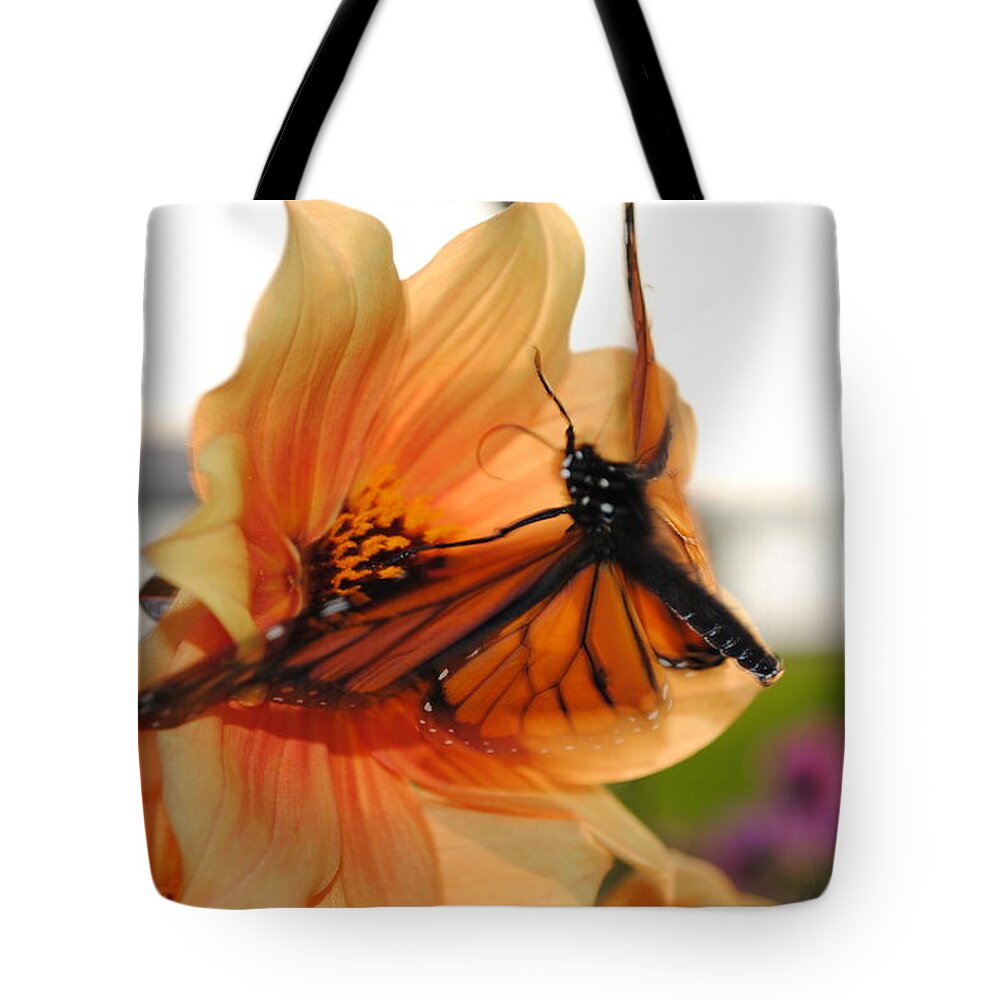  Tote Bag featuring the photograph In Flight... by Michael Frank Jr