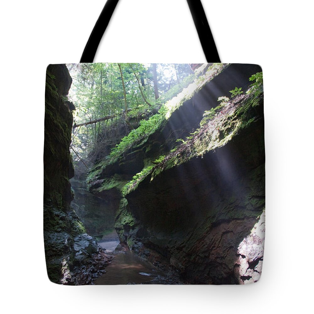 Rocks Tote Bag featuring the photograph In the Cleft of the Rock by David Arment