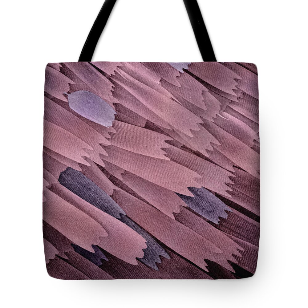 00780307 Tote Bag featuring the photograph Indian Meal Moth Wing SEM 210x by Albert Lleal
