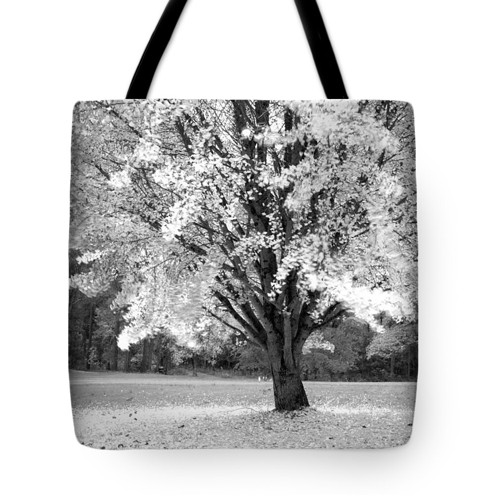 Autumn Tote Bag featuring the photograph Inferred Autumn by David Troxel