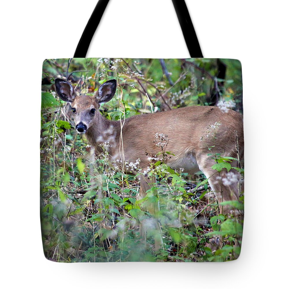 Nature Tote Bag featuring the photograph Innocence by Mitch Cat