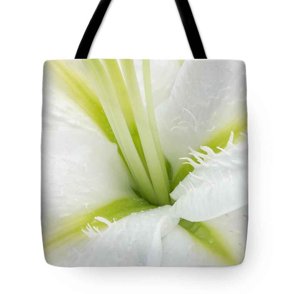 Lily Tote Bag featuring the photograph Inside a White Lily by Ann Garrett