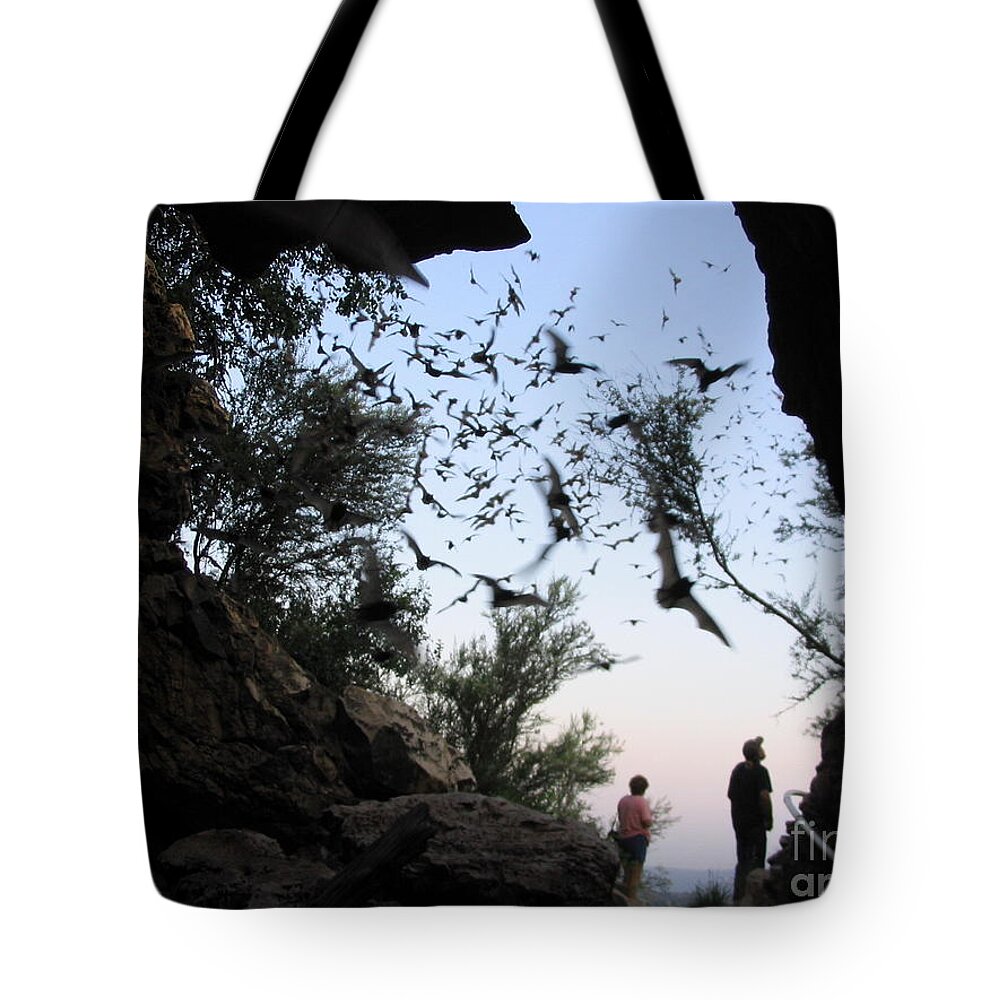 Bat Tote Bag featuring the photograph Inside the Bat Cave by Mark Robbins
