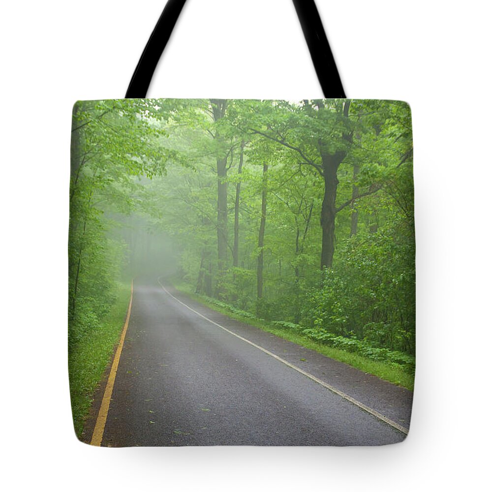 Forest Tote Bag featuring the photograph Into the Haze by Guy Whiteley