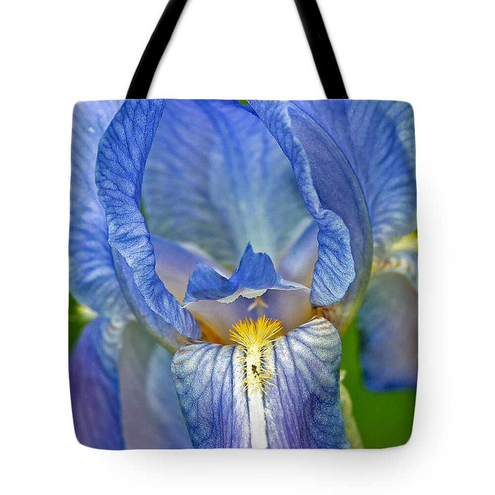 Iris Tote Bag featuring the photograph Iris by Larry Carr