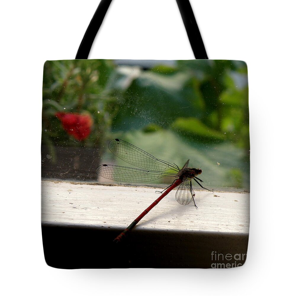 Dragonfly Tote Bag featuring the photograph It's Always Greener by Lainie Wrightson