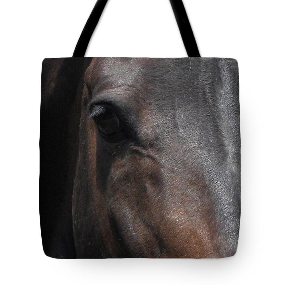 Horse Tote Bag featuring the photograph It's in the Eye by Kim Galluzzo
