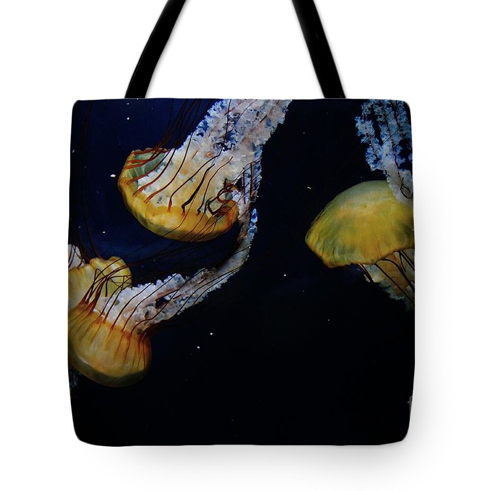 Jellyfish Tote Bag featuring the photograph Jellyfish by Joe Ng