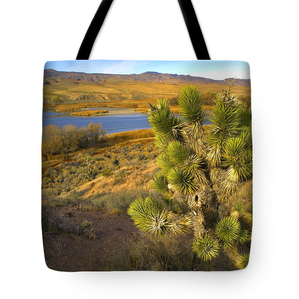 00175509 Tote Bag featuring the photograph Joshua Tree And Wetlands by Tim Fitzharris