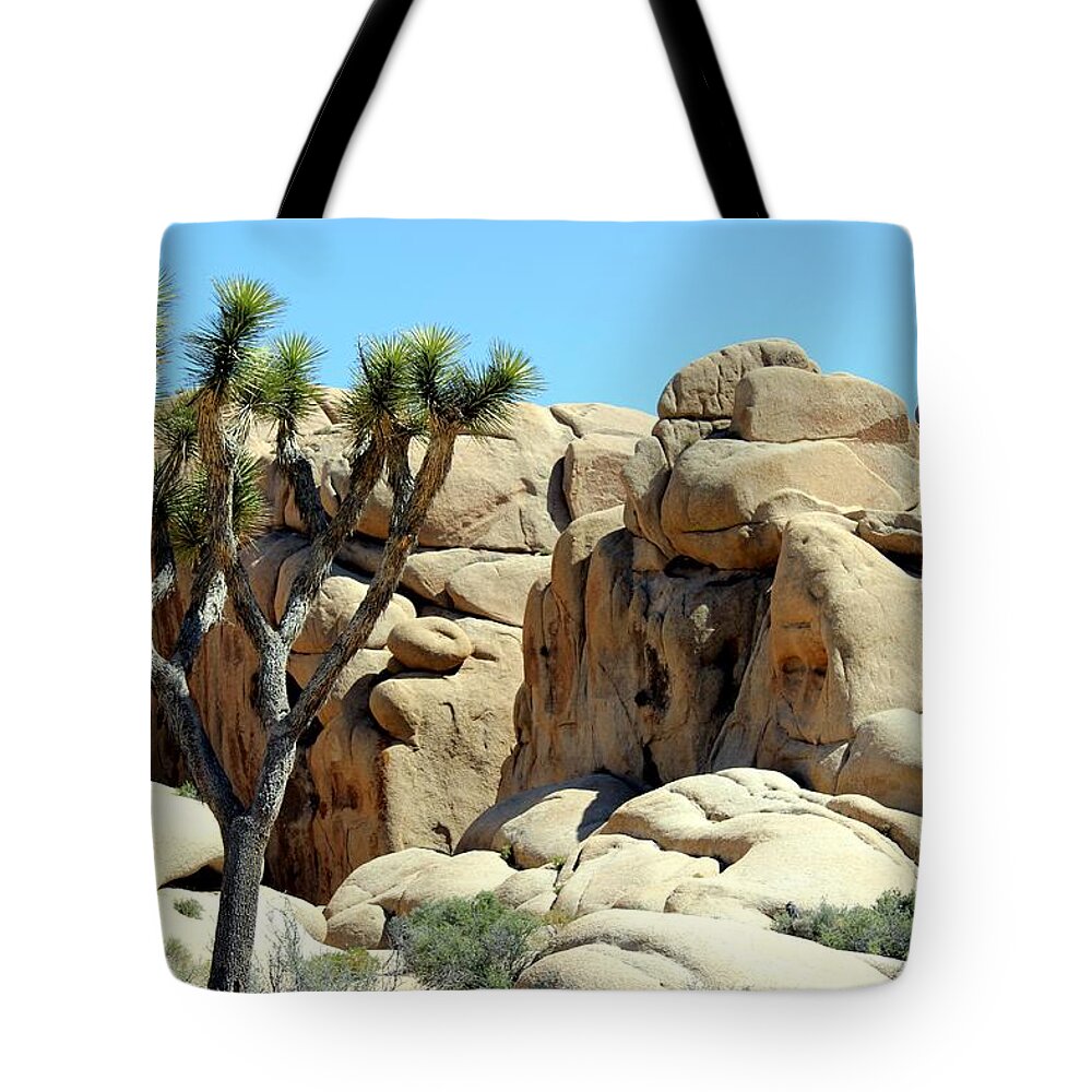 Joshua Tree National Park Tote Bag featuring the photograph Joshua Tree by Leigh Meredith