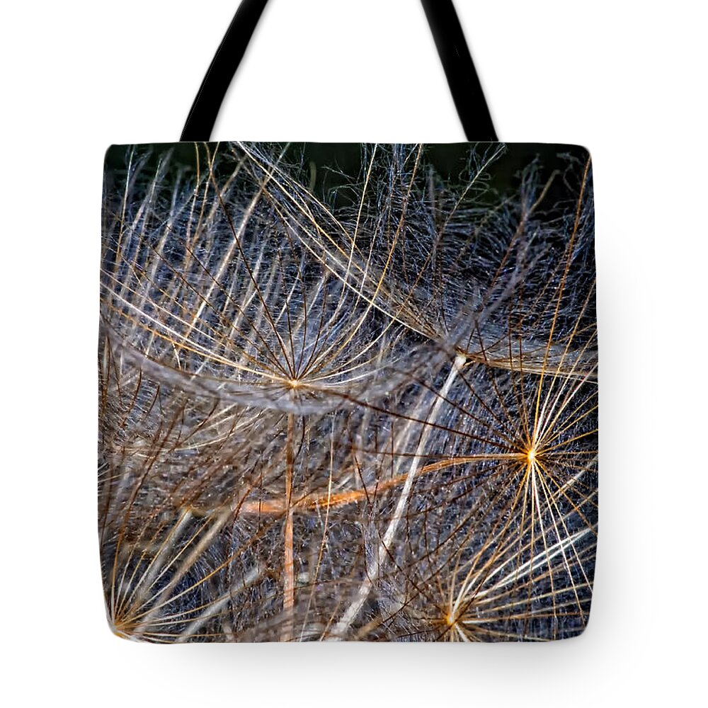 Asteraceae Tote Bag featuring the photograph Journey Inward by Steve Harrington
