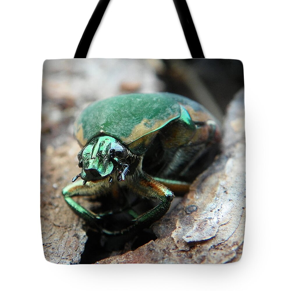 June Bug Tote Bag featuring the photograph June bug shine by Chad and Stacey Hall