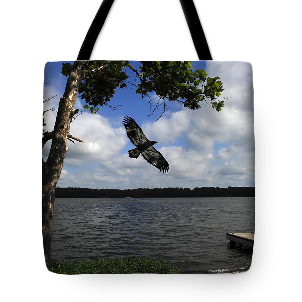 Juvenile Eagle Tote Bag featuring the photograph Junenile Eagle Rocky Fork Lake by Randall Branham